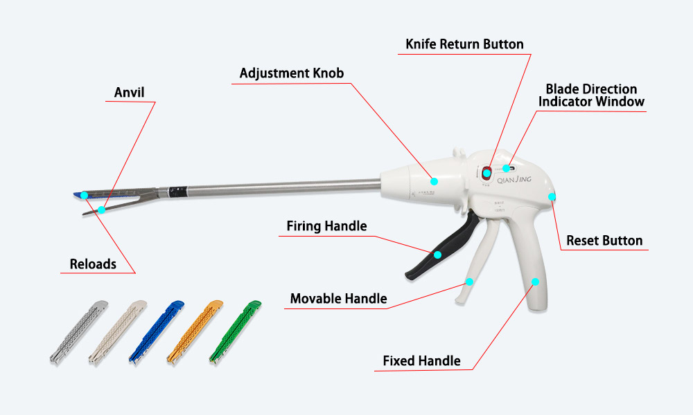 The structure of endoscopic linear cutter stapler