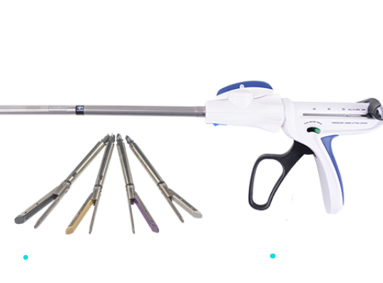 Disposable Endoscopic Staplers and Reloads QMBE