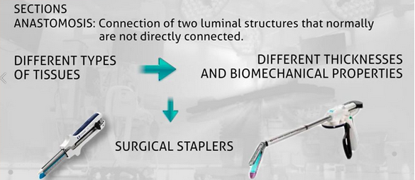 endoscopic linear stapler endoscopic linear stapler